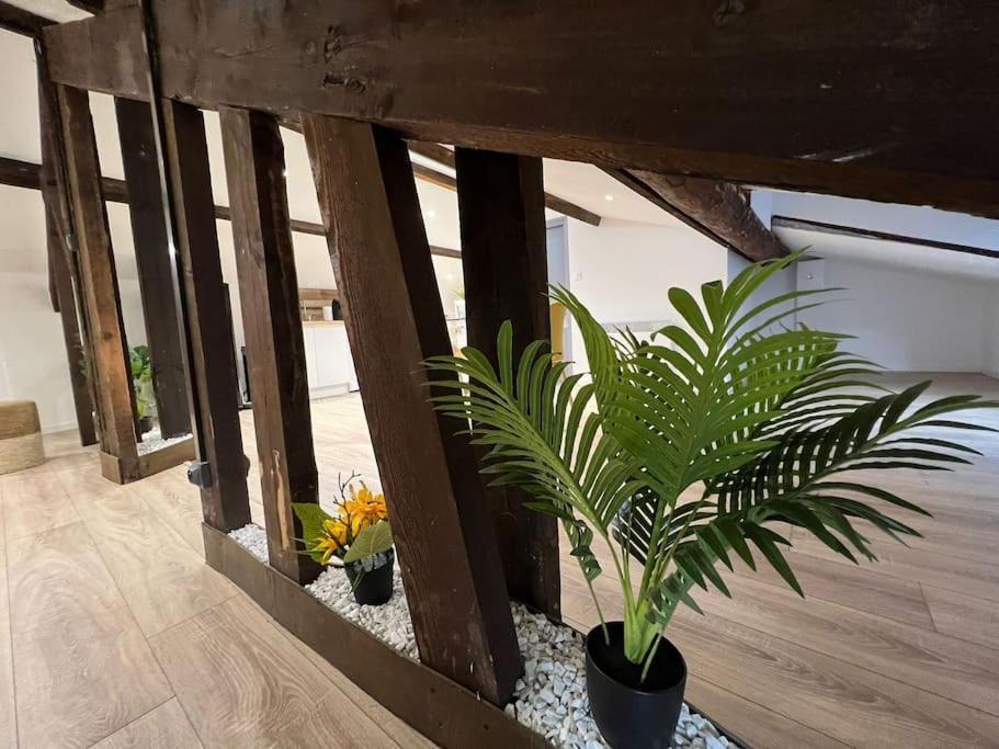 Kiss Cool - Loft En Centre Ville Saint-Dizier Zewnętrze zdjęcie